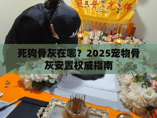 死狗骨灰在哪？2025宠物骨灰安置权威指南