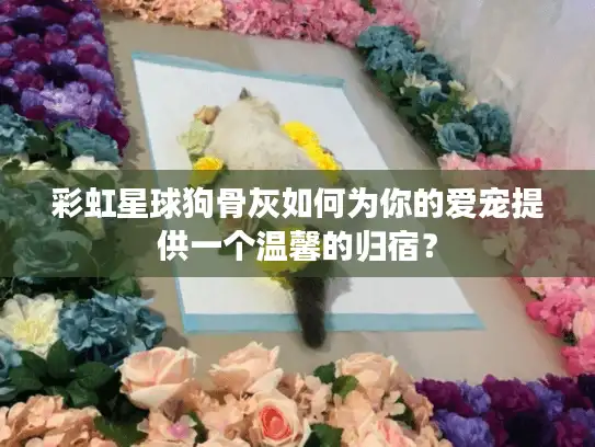 彩虹星球狗骨灰如何为你的爱宠提供一个温馨的归宿？