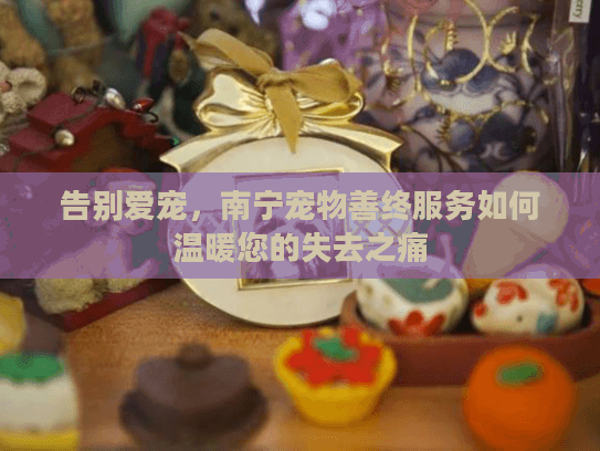 告别爱宠，南宁宠物善终服务如何温暖您的失去之痛