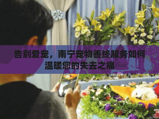 告别爱宠，南宁宠物善终服务如何温暖您的失去之痛