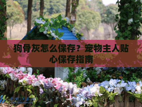 狗骨灰怎么保存?宠物主人贴心保存指南 狗骨灰怎么保存?宠物主人贴心保存指南