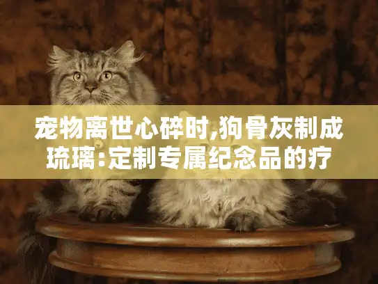 宠物离世心碎时,狗骨灰制成琉璃:定制专属纪念品的疗愈选择 宠物离世心碎时,狗骨灰制成琉璃:定制专属纪念品的疗愈选择