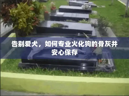 告别爱犬,如何专业火化狗的骨灰并安心保存 告别爱犬,如何专业火化狗的骨灰并安心保存