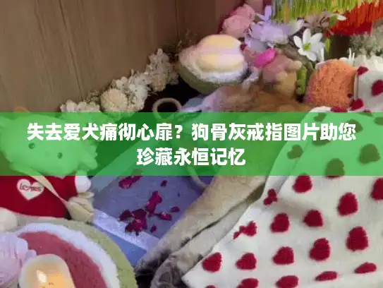 失去爱犬痛彻心扉？狗骨灰戒指图片助您珍藏永恒记忆