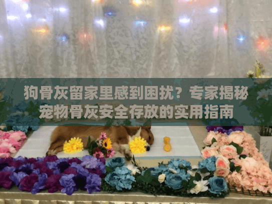 狗骨灰留家里感到困扰?专家揭秘宠物骨灰安全存放的实用指南 狗骨灰留家里感到困扰?专家揭秘宠物骨灰安全存放的实用指南