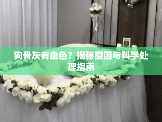 狗骨灰有血色？揭秘原因与科学处理指南