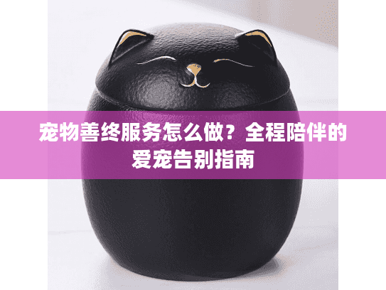 宠物善终服务怎么做？全程陪伴的爱宠告别指南
