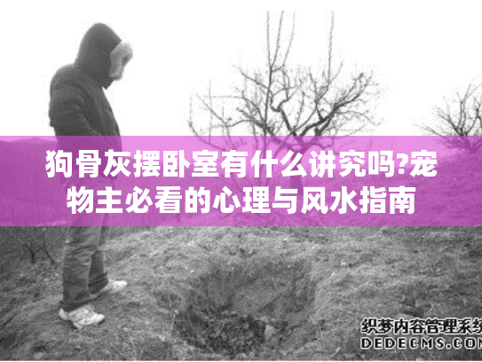 狗骨灰摆卧室有什么讲究吗?宠物主必看的心理与风水指南