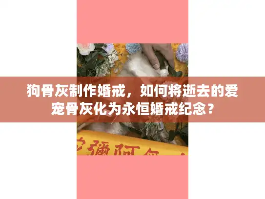 狗骨灰制作婚戒，如何将逝去的爱宠骨灰化为永恒婚戒纪念？