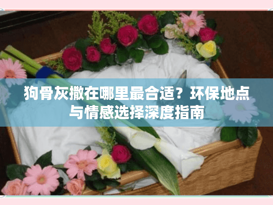 狗骨灰撒在哪里最合适？环保地点与情感选择深度指南