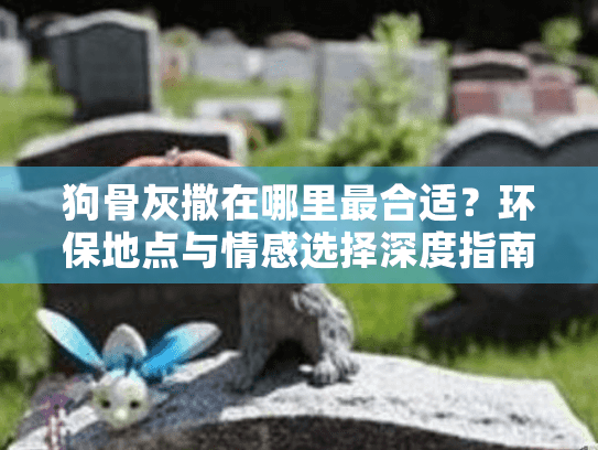 狗骨灰撒在哪里最合适？环保地点与情感选择深度指南