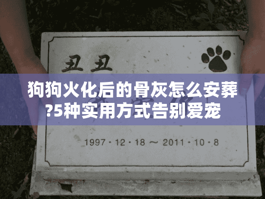 狗狗火化后的骨灰怎么安葬?5种实用方式告别爱宠