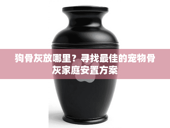 狗骨灰放哪里？寻找最佳的宠物骨灰家庭安置方案