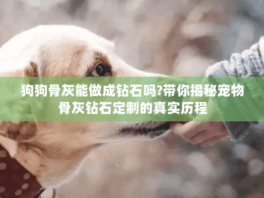 狗狗骨灰能做成钻石吗?带你揭秘宠物骨灰钻石定制的真实历程