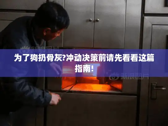 为了狗扔骨灰?冲动决策前请先看看这篇指南! 为了狗扔骨灰?冲动决策前请先看看这篇指南!