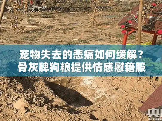 宠物失去的悲痛如何缓解?骨灰牌狗粮提供情感慰藉服务 宠物失去的悲痛如何缓解?骨灰牌狗粮提供情感慰藉服务