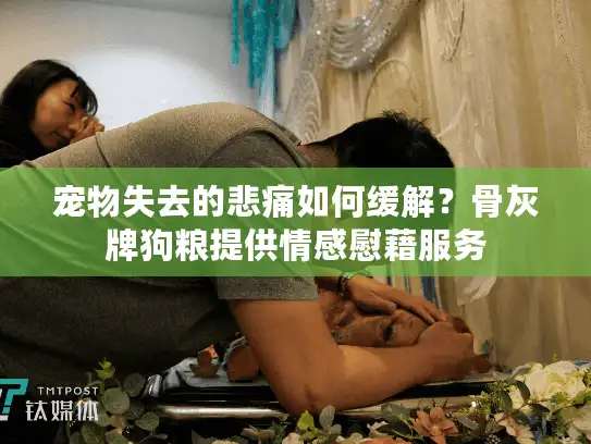 宠物失去的悲痛如何缓解?骨灰牌狗粮提供情感慰藉服务 宠物失去的悲痛如何缓解?骨灰牌狗粮提供情感慰藉服务