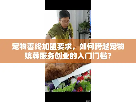 宠物善终加盟要求，如何跨越宠物殡葬服务创业的入门门槛？