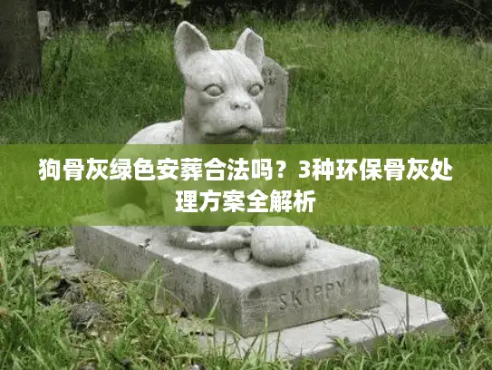 狗骨灰绿色安葬合法吗？3种环保骨灰处理方案全解析