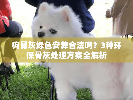 狗骨灰绿色安葬合法吗？3种环保骨灰处理方案全解析
