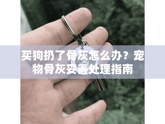 买狗扔了骨灰怎么办？宠物骨灰妥善处理指南
