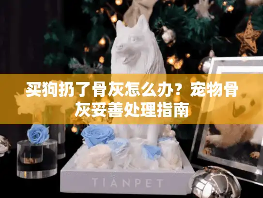 买狗扔了骨灰怎么办？宠物骨灰妥善处理指南