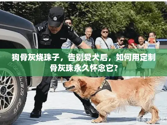 狗骨灰烧珠子，告别爱犬后，如何用定制骨灰珠永久怀念它？