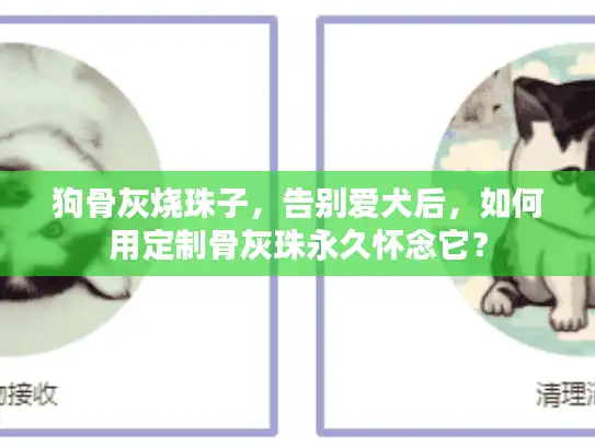 狗骨灰烧珠子，告别爱犬后，如何用定制骨灰珠永久怀念它？