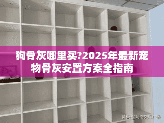 狗骨灰哪里买?2025年最新宠物骨灰安置方案全指南