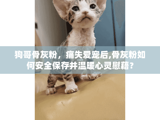 狗哥骨灰粉，痛失爱宠后,骨灰粉如何安全保存并温暖心灵慰藉？