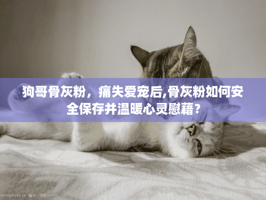 狗哥骨灰粉，痛失爱宠后,骨灰粉如何安全保存并温暖心灵慰藉？