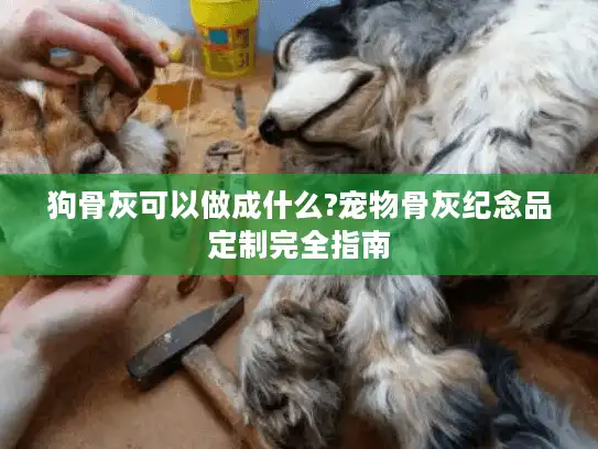狗骨灰可以做成什么?宠物骨灰纪念品定制完全指南 狗骨灰可以做成什么?宠物骨灰纪念品定制完全指南