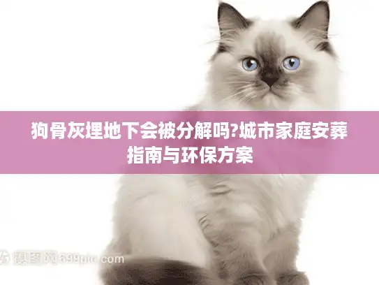 狗骨灰埋地下会被分解吗?城市家庭安葬指南与环保方案