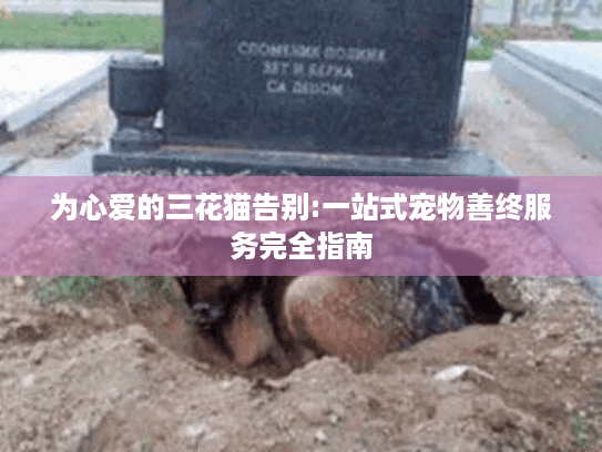 为心爱的三花猫告别:一站式宠物善终服务完全指南