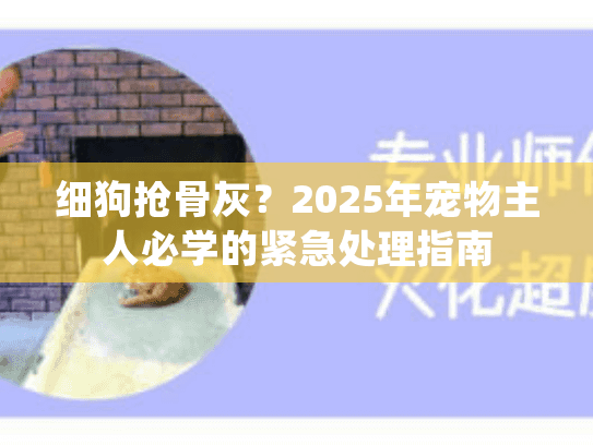 细狗抢骨灰?2025年宠物主人必学的紧急处理指南 细狗抢骨灰?2025年宠物主人必学的紧急处理指南