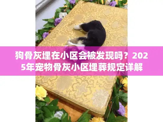 狗骨灰埋在小区会被发现吗？2025年宠物骨灰小区埋葬规定详解