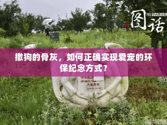 撒狗的骨灰，如何正确实现爱宠的环保纪念方式？