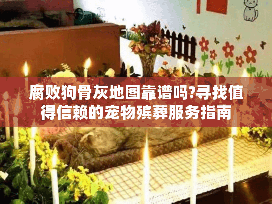 腐败狗骨灰地图靠谱吗?寻找值得信赖的宠物殡葬服务指南 腐败狗骨灰地图靠谱吗?寻找值得信赖的宠物殡葬服务指南