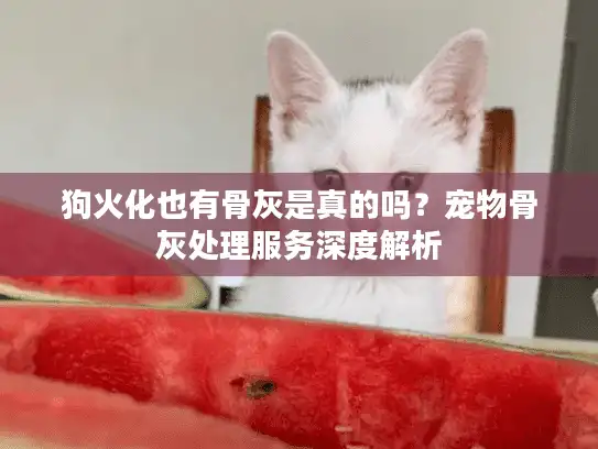 狗火化也有骨灰是真的吗?宠物骨灰处理服务深度解析 狗火化也有骨灰是真的吗?宠物骨灰处理服务深度解析