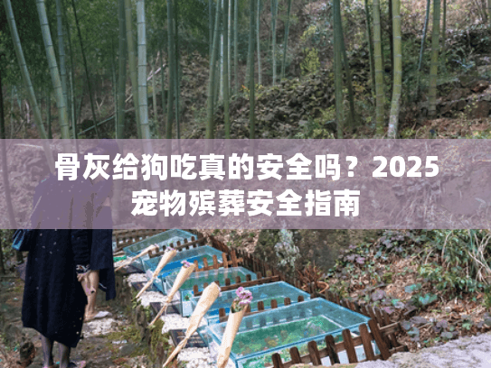 骨灰给狗吃真的安全吗?2025宠物殡葬安全指南 骨灰给狗吃真的安全吗?2025宠物殡葬安全指南