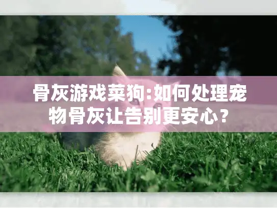 骨灰游戏菜狗:如何处理宠物骨灰让告别更安心？