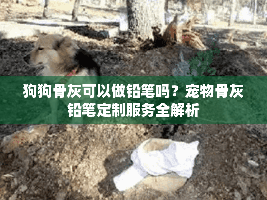 狗狗骨灰可以做铅笔吗？宠物骨灰铅笔定制服务全解析