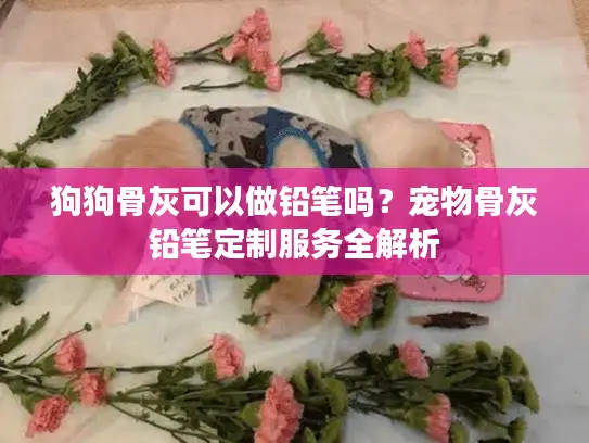 狗狗骨灰可以做铅笔吗？宠物骨灰铅笔定制服务全解析