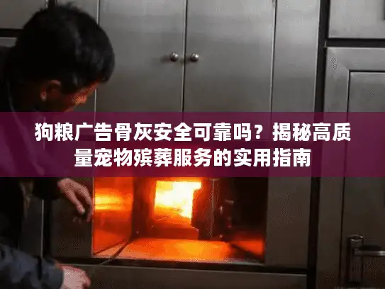 狗粮广告骨灰安全可靠吗？揭秘高质量宠物殡葬服务的实用指南