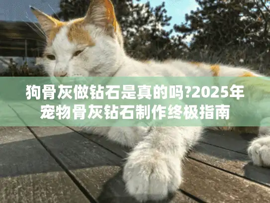 狗骨灰做钻石是真的吗?2025年宠物骨灰钻石制作终极指南