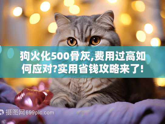 狗火化500骨灰,费用过高如何应对?实用省钱攻略来了!