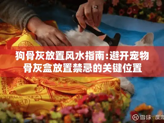 狗骨灰放置风水指南:避开宠物骨灰盒放置禁忌的关键位置 狗骨灰放置风水指南:避开宠物骨灰盒放置禁忌的关键位置