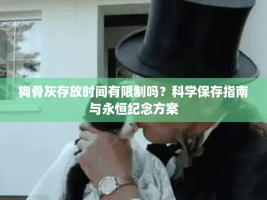 狗骨灰存放时间有限制吗？科学保存指南与永恒纪念方案