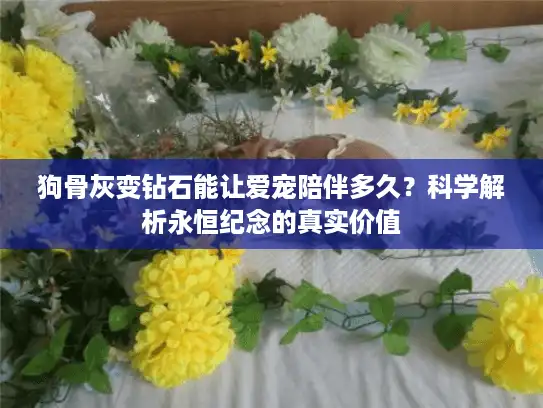 狗骨灰变钻石能让爱宠陪伴多久？科学解析永恒纪念的真实价值