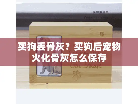 买狗丢骨灰？买狗后宠物火化骨灰怎么保存